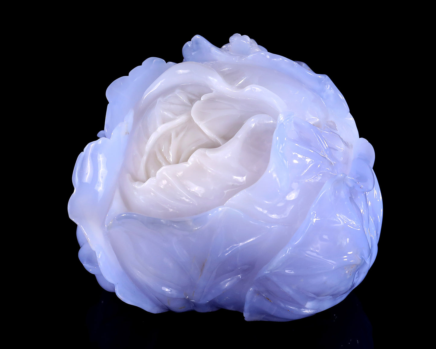 6.9" Natural Blue Chalcedony Hand Carved Crystal Cabbage Sculpture