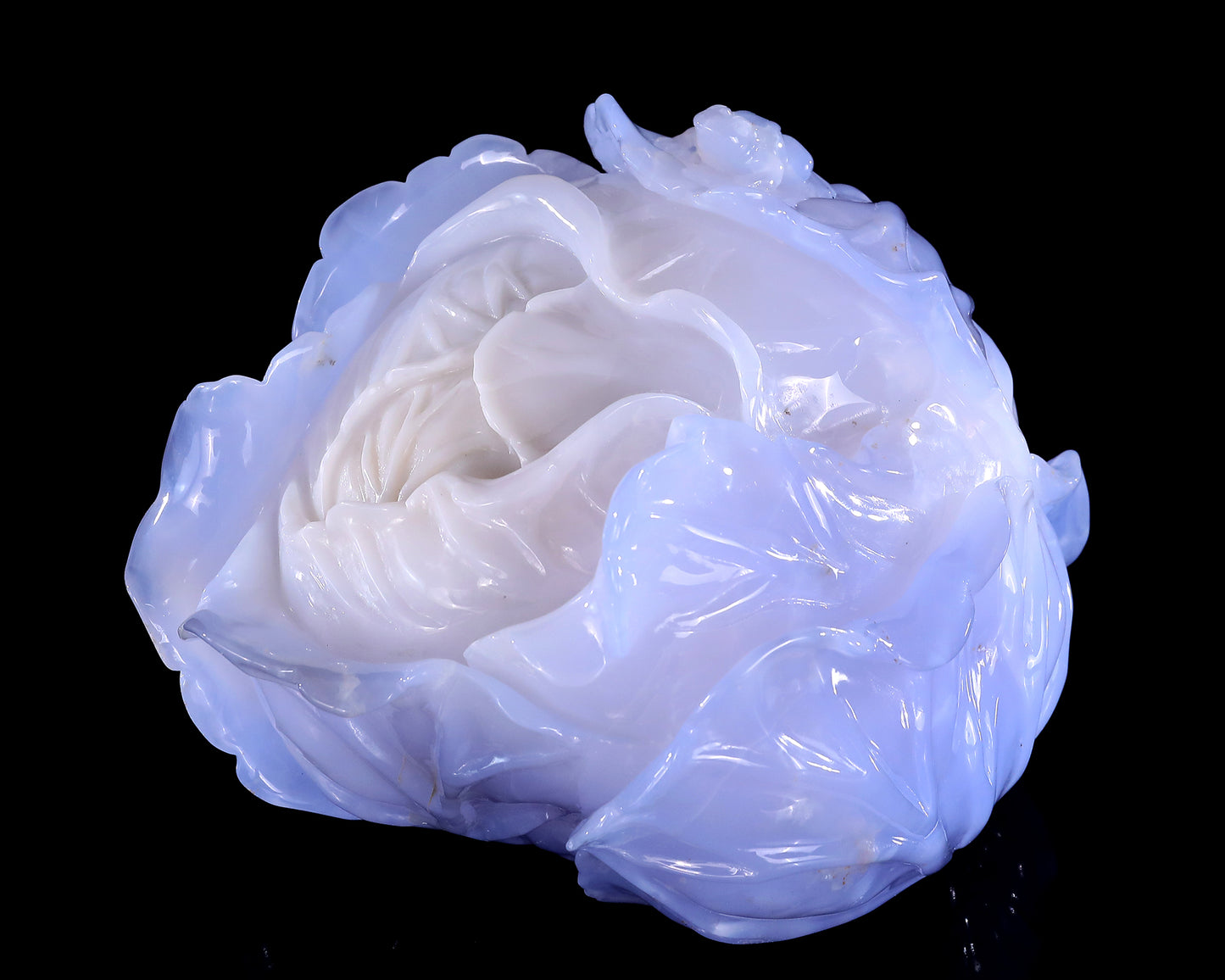 6.9" Natural Blue Chalcedony Hand Carved Crystal Cabbage Sculpture