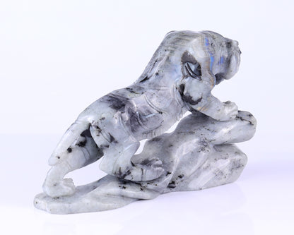 10.2" Labradorite Hand Carved Crystal Tiger Sculpture Crystallumi