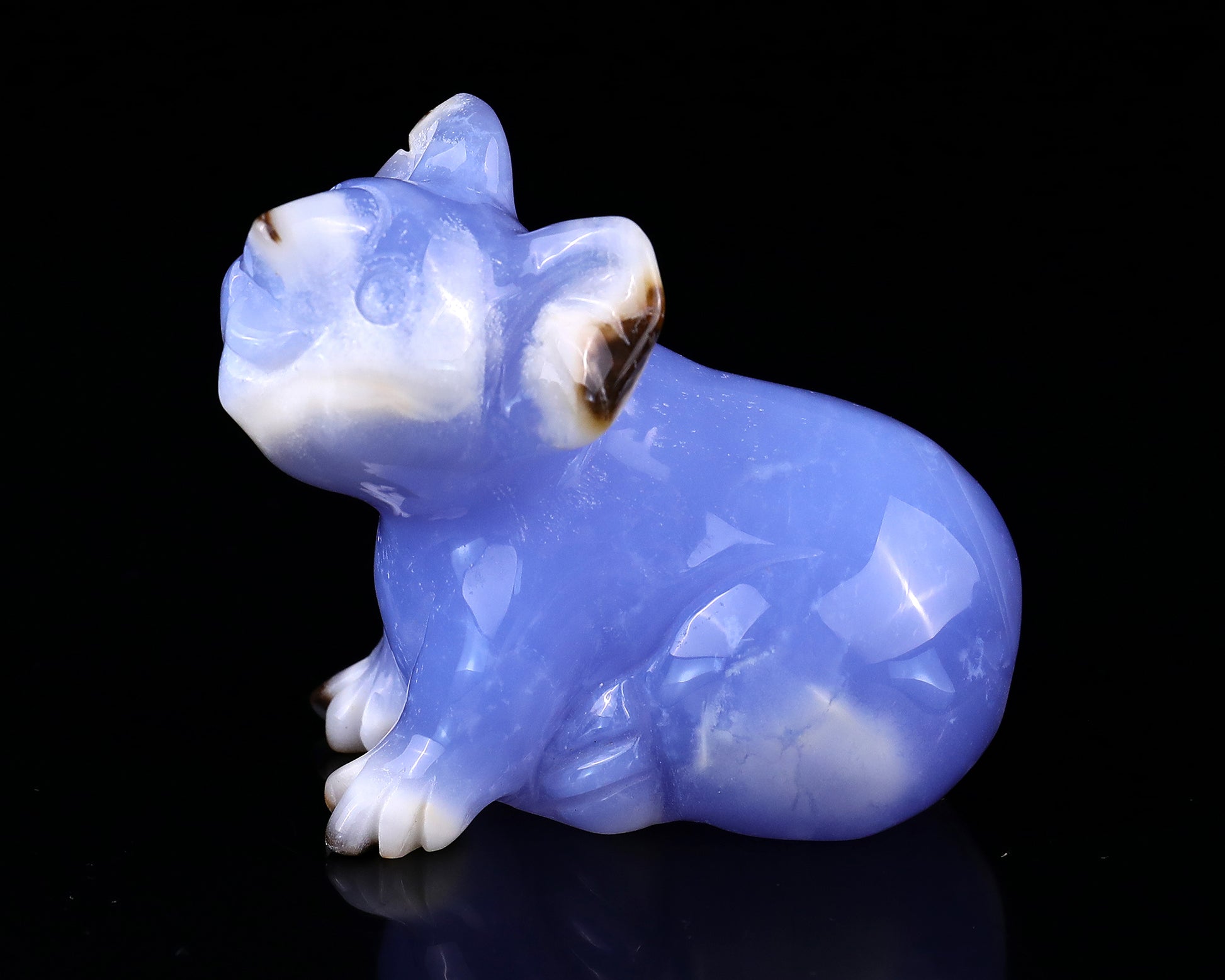 2.7" Blue Chalcedony Hand Carved Crystal Koala Sculpture Crystallumi