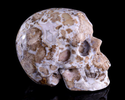 3.0" Blue Sakura Agate Hand Carved Crystal Realistic Skull Sculpture