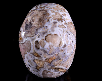 3.0" Blue Sakura Agate Hand Carved Crystal Realistic Skull Sculpture