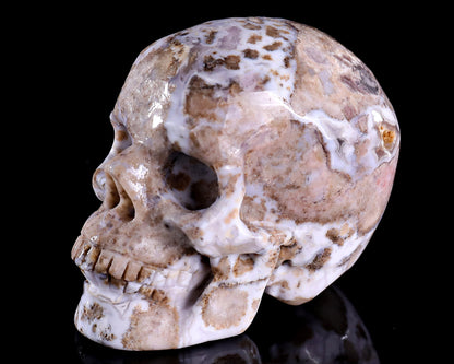 3.0" Blue Sakura Agate Hand Carved Crystal Realistic Skull Sculpture