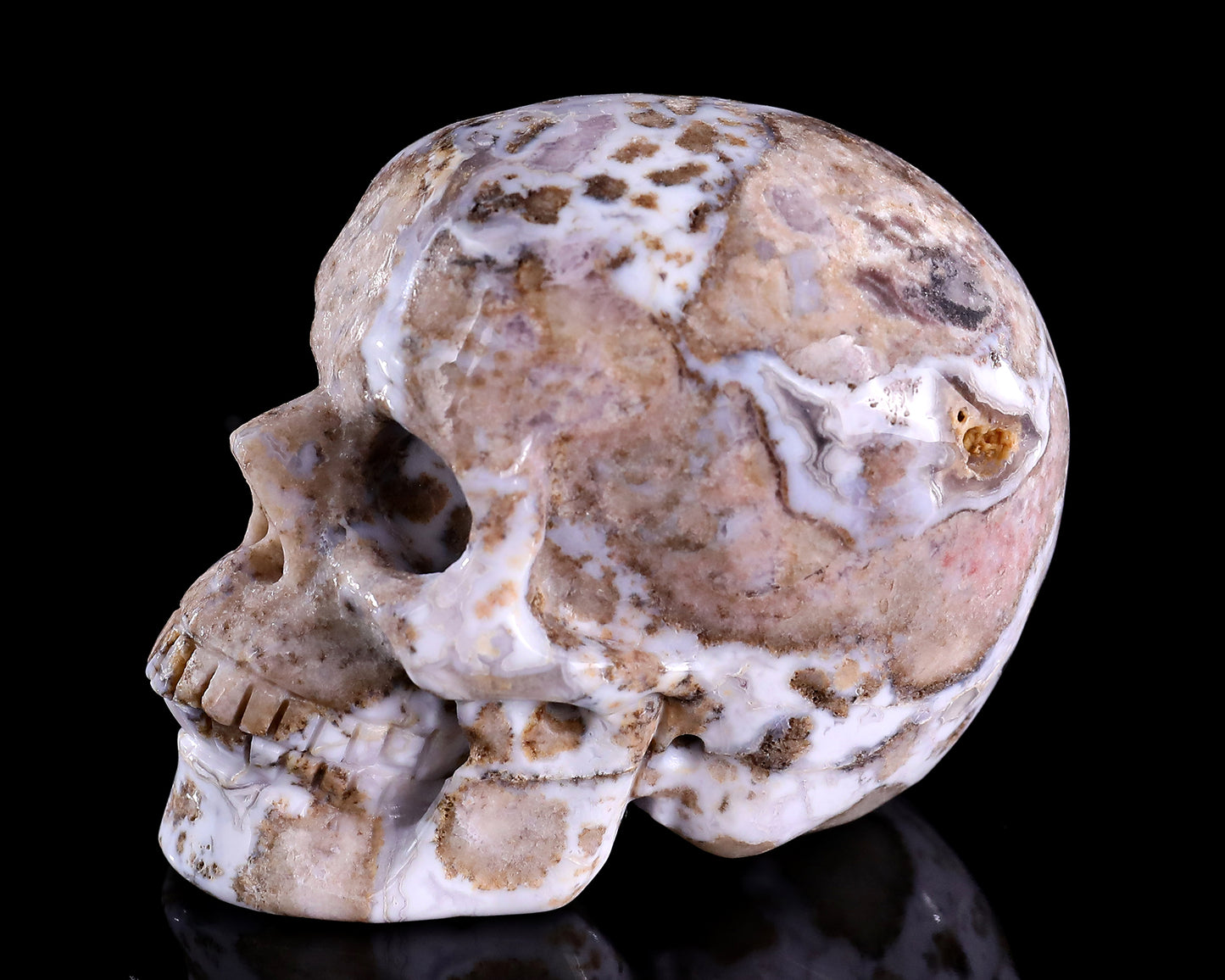 3.0" Blue Sakura Agate Hand Carved Crystal Realistic Skull Sculpture