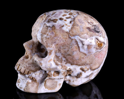 3.0" Blue Sakura Agate Hand Carved Crystal Realistic Skull Sculpture