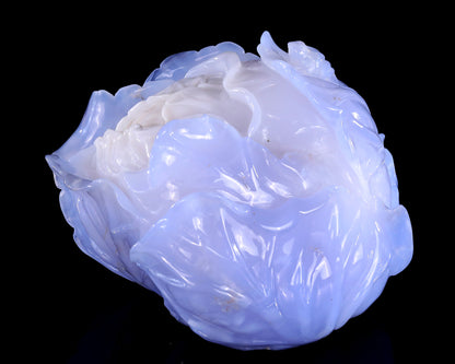 6.9" Natural Blue Chalcedony Hand Carved Crystal Cabbage Sculpture