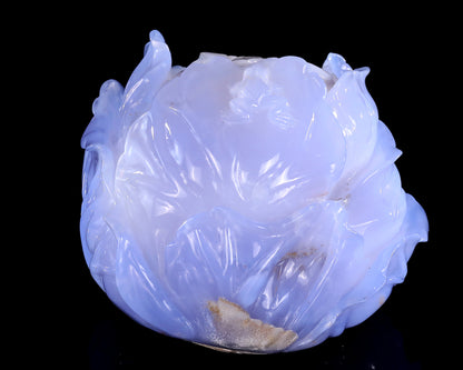 6.9" Natural Blue Chalcedony Hand Carved Crystal Cabbage Sculpture