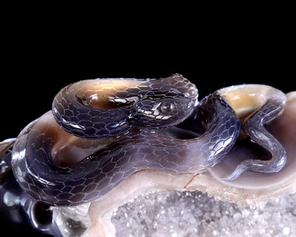 11" Natural Amethyst Druse Agate Hand Carved Crystal Snake Sculpture